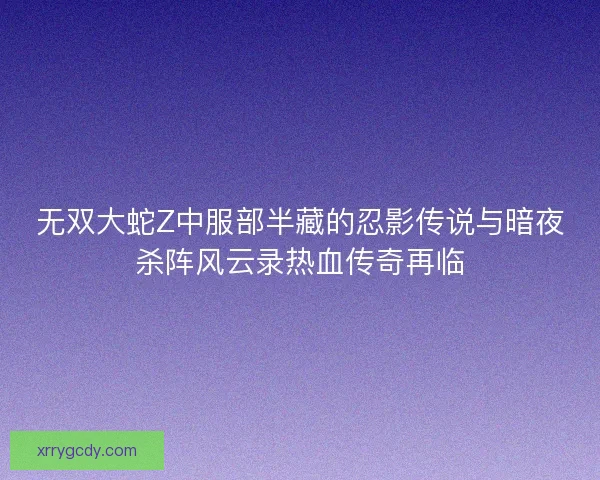 无双大蛇Z中服部半藏的忍影传说与暗夜杀阵风云录热血传奇再临 无双大蛇Z中服部半藏的忍影传说与暗夜杀阵风云录热血传奇再临